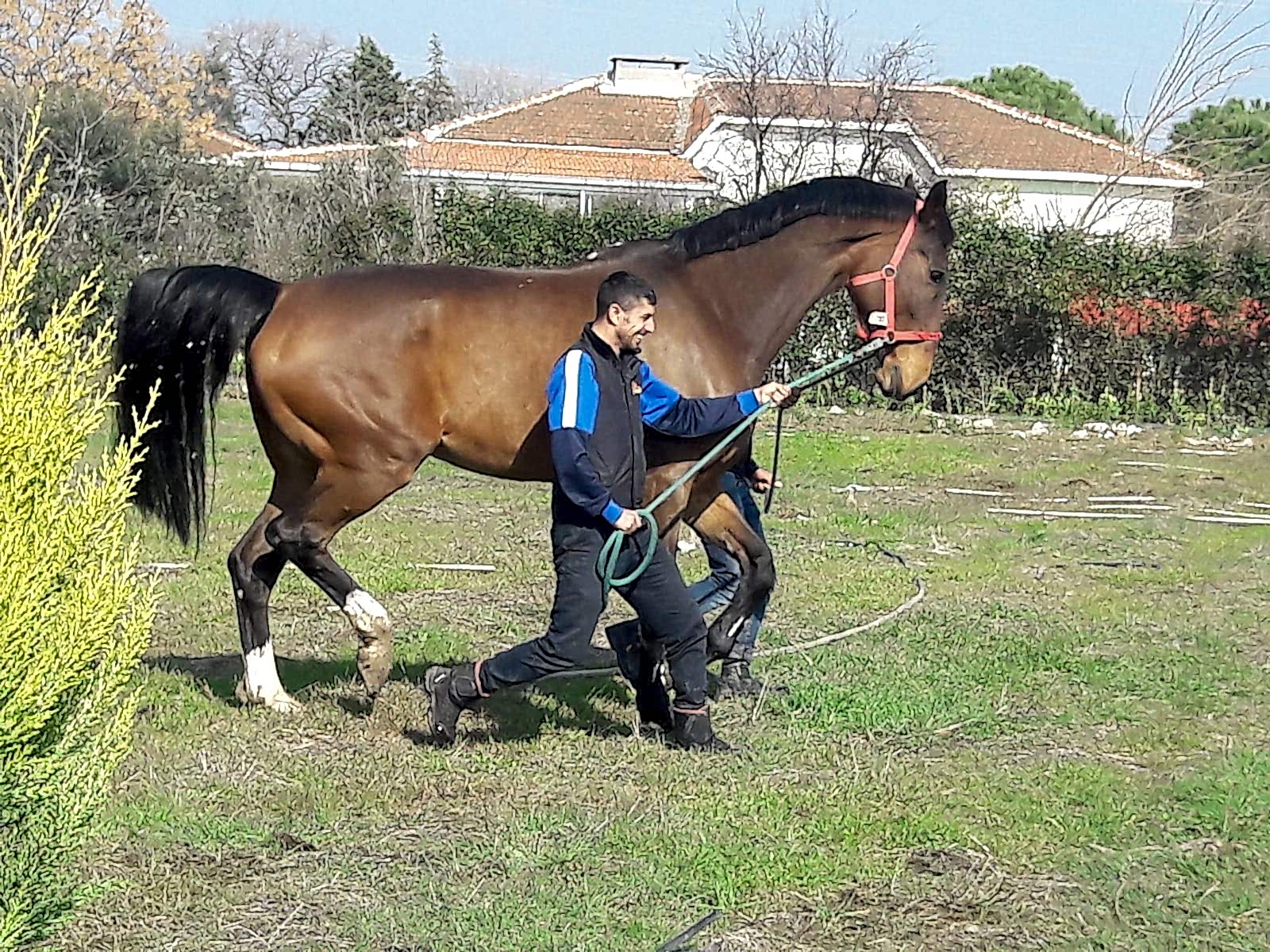 BİNİCİLİK EĞİTİMİ